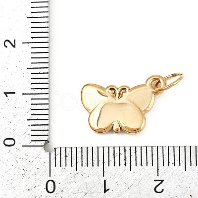 304 Stainless Steel Charms STAS-K307-07C-G-1