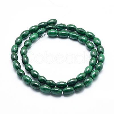 Natural Malachite Beads Strands G-D0011-09C-1