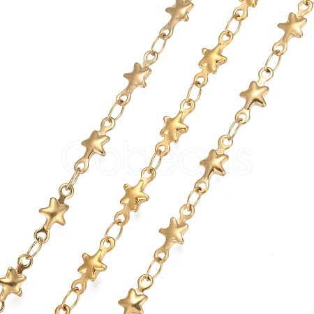 304 Stainless Steel Link Chains STAS-P219-74G-1