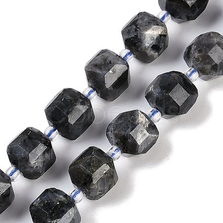 Natural Larvikite Beads Strands G-B125-O05-01-1