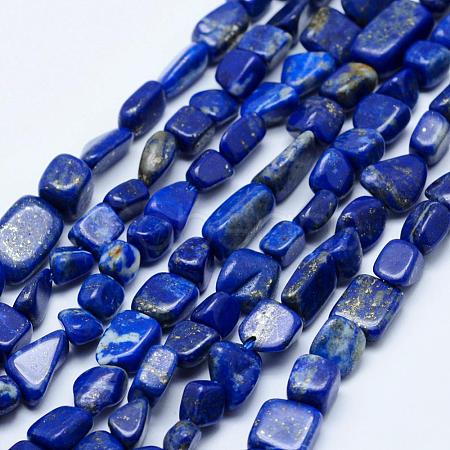 Natural Lapis Lazuli Beads Strands G-K203-18-1