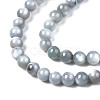 Natural Freshwater Shell Beads Strands X-BSHE-T009A-01K-3