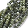 Natural Taiwan Jade Beads Strands Z0NCT012-6