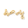 Brass Charms KK-P234-13G-W-2