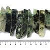 Natural Prehnite Beads Strands G-L551B-12-4