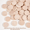 Unfinished Schima Wooden Round Pieces WOOD-WH0027-73-4