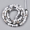 Natural Rainbow Moonstone Beads Strands G-T141-66-2