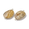 Natural Picture Jasper Connector Charms G-C110-02E-KCG-2