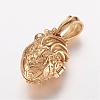 304 Stainless Steel Locket Pendants STAS-P137-19G-2