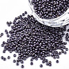12/0 Czech Opaque Glass Seed Beads SEED-N004-003C-40-1