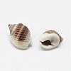Natural Spiral Shell Beads BSHE-S613-02-1