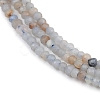 Natural Angelite Beads Strands G-RM2025-A31-2mm-4