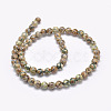 Natural Tibetan Turtle Back Pattern dZi Agate Beads Strands G-F354-04-2