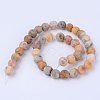 Natural Crazy Lace Agate Beads Strands X-G-Q462-8mm-12-2