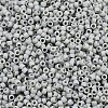 MIYUKI Delica Beads SEED-MY11-DB2281-2