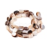 Natural Freshwater Shell Beads Strands SHEL-Q030-01-2