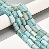 Natural Amazonite Beads Strands G-G068-A35-01-2
