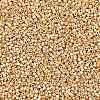MIYUKI Delica Beads X-SEED-J020-DB2501-2