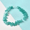 Natural Amazonite Beads Strands G-B064-B05-2