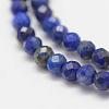 Natural Lapis Lazuli Beads Strands G-K182-2mm-04-3