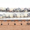 Baking Paint Glass Beads Strands DGLA-N003-6mm-C05-5