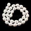 Electroplated Shell Pearl Beads Strands BSHE-B008-04-2