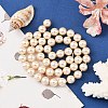 Preciosa® MAXIMA Crystal Nacre Pearls Y-PRC-NPA8-71000-5
