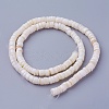 Shell Beads Strands SSHEL-E571-49I-2