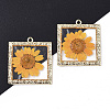 Epoxy Resin Pendants X-RESI-T045-029F-1
