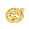 Twelve Constellations Alloy Pendants PALLOY-Q006-01F-G-2