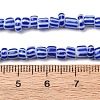 Handmade Lampwork Beads Strands BLOW-K001-01B-14-2