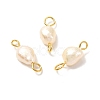 Natural Cultured Freshwater Pearl Beads Links Connectors X1-PALLOY-JF00943-02-2