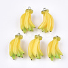 Resin Pendants X-RESI-T028-46-1