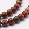 Natural Polychrome Jasper/Picasso Stone/Picasso Jasper Bead Strands G-D840-85-6mm-3