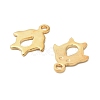 304 Stainless Steel Charms STAS-I350-04G-2