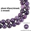 Olycraft 2 Strands Natural Lepidolite/Purple Mica Stone Beads Strands G-OC0003-28-2