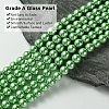 Eco-Friendly  Dyed Glass Pearl Round Bead Strands HY-A002-8mm-RB008-3