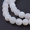 Natural Crackle Agate Beads Strands X-G-G055-8mm-5-3