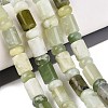 Natural Xiuyan Jade Beads Strands G-Q616-09E-02-1