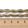 Natural Freshwater Shell Beads Strands SHEL-C005-04-4