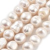 Natural Cultured Freshwater Pearl Beads Strands PEAR-P062-30F-2