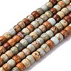 Natural Aqua Terra Jasper Beads Strands G-L624-D03-10x8mm-2