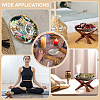 4Pcs Natural Shell Display Decorations DJEW-ME0001-23-5