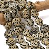Natural Dalmatian Jasper Beads Strands G-L648-B19-15mm-1