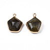 Natural Labradorite Pendants G-S359-381-3