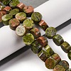 Natural Unakite Beads Strands G-C159-B05-01-2