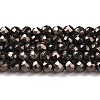 Electroplate Glass Beads Strands GLAA-H021-01B-FP06-2