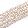 Natural Cultured Freshwater Pearl Beads Strands PEAR-L033-53-1