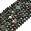 Natural African Bloodstone Beads Strands LS-G-P573-B13-01-2