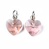 Faceted Transparent Glass Charms GLAA-T024-04J-2